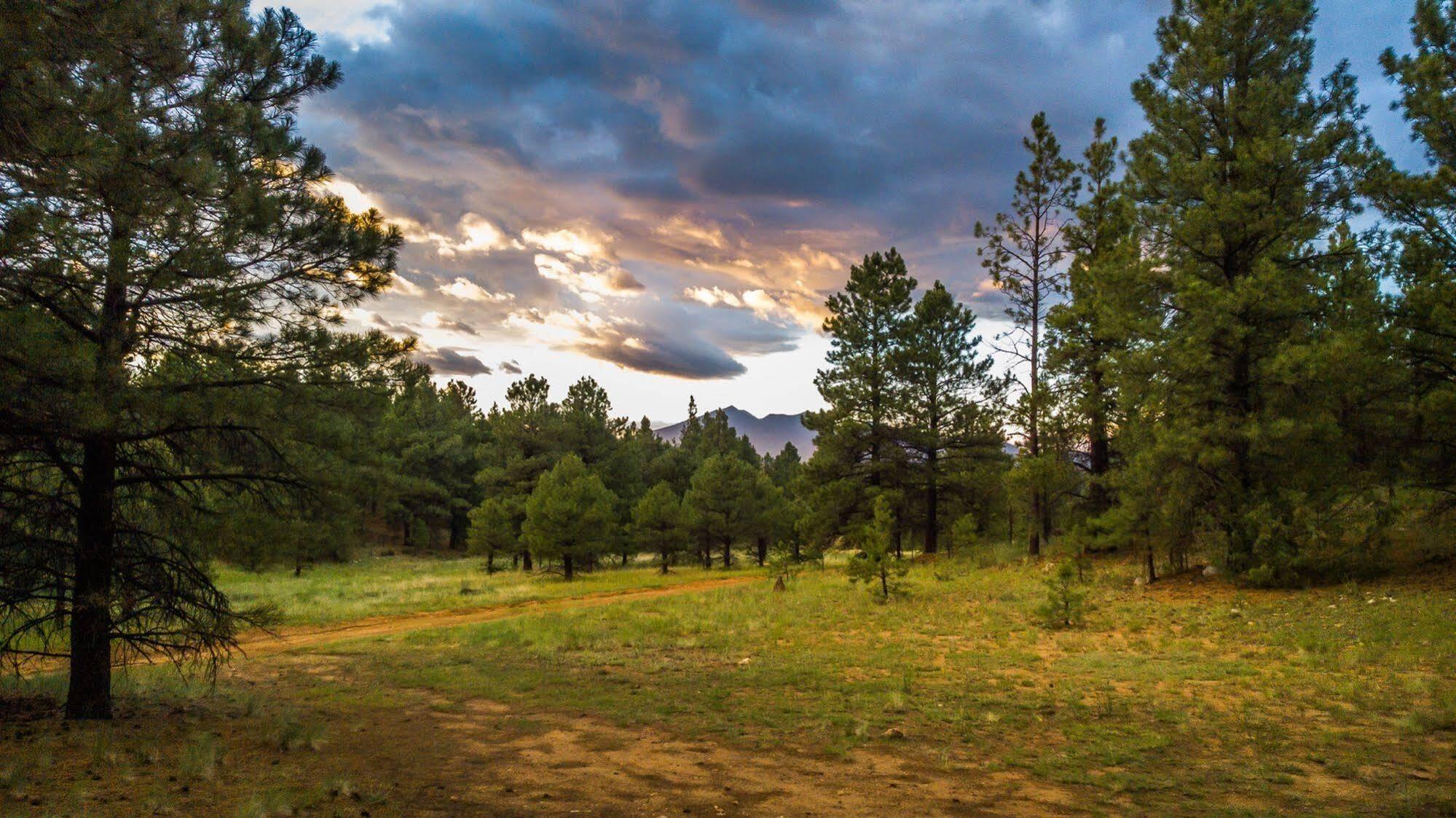 Hampton Inn Suites Flagstaff East Εξωτερικό φωτογραφία